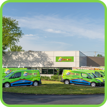 green vans in front of a building
