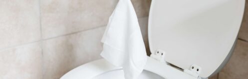 Are flushable wipes flushable