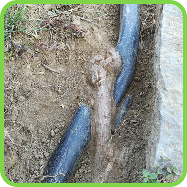 Rooter Drain Clearing Services Company Near You in St. Louis, MO Metro